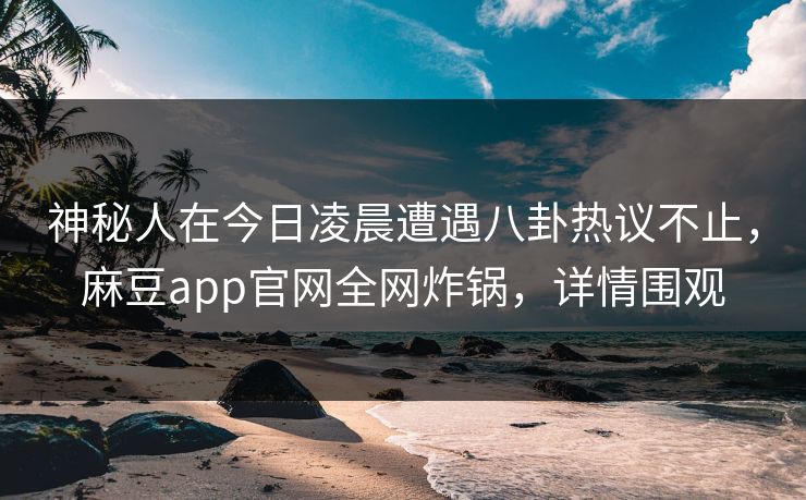 神秘人在今日凌晨遭遇八卦热议不止，麻豆app官网全网炸锅，详情围观